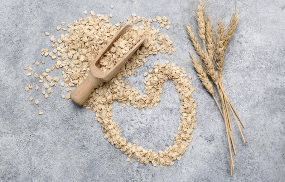 "Овсянка, сэр!" 🧐