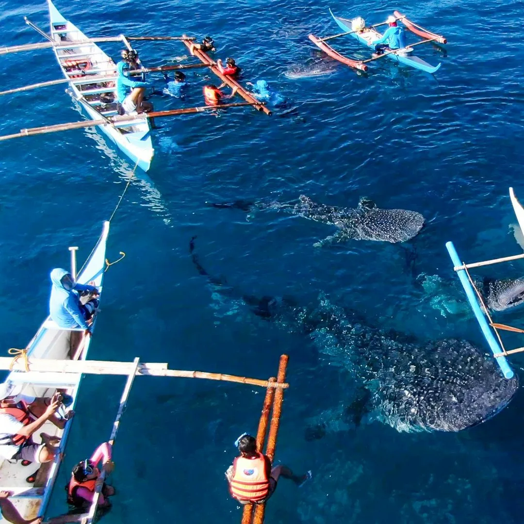 Фото: getyourguide.ru