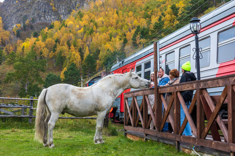 Каждый туристический маршрут от РЖД — шанс узнать новое о России