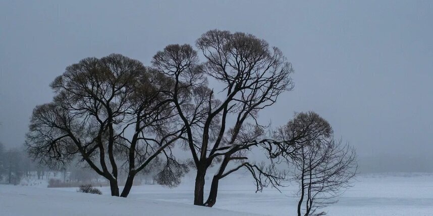    Алена Бобрович