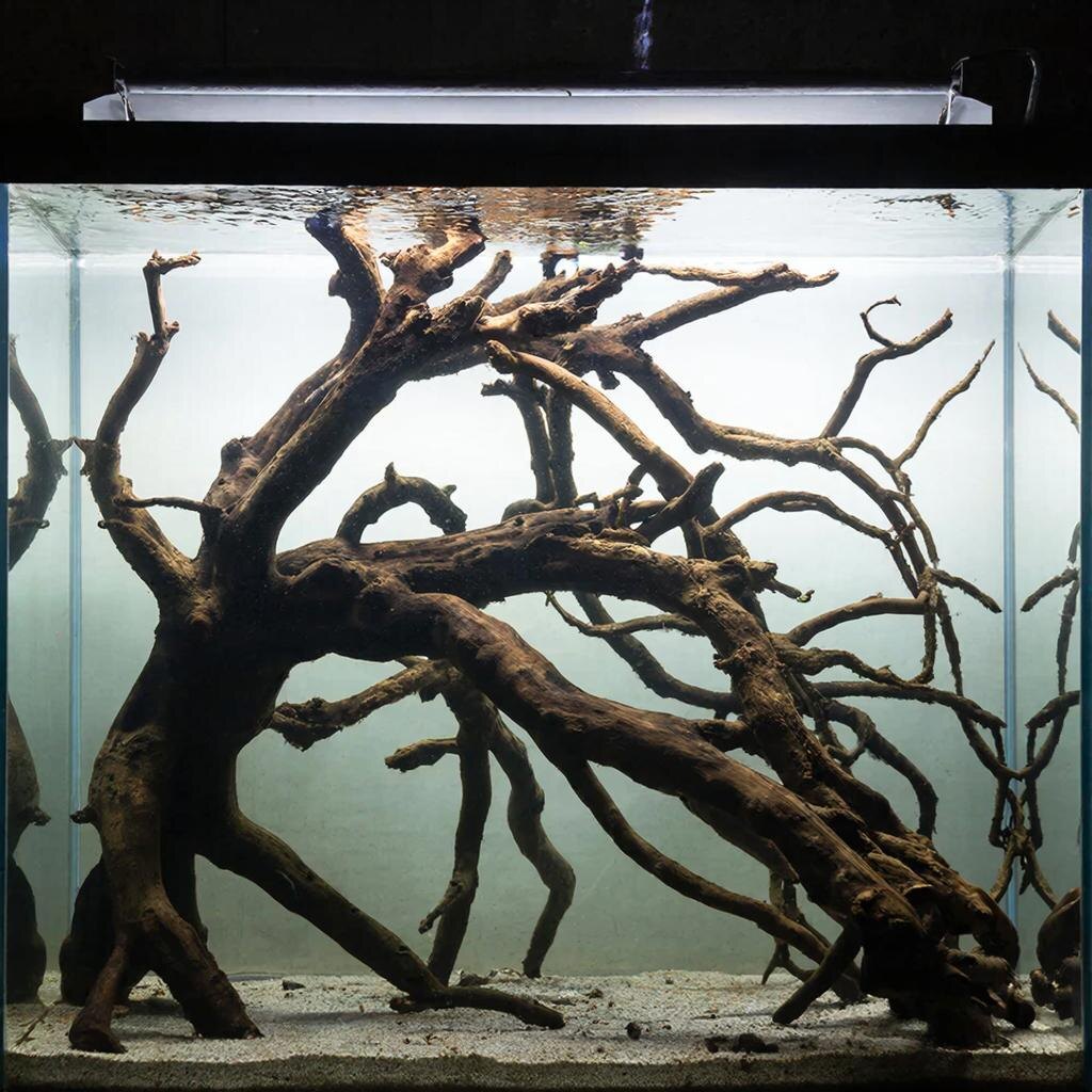 Для примера, конечно,в реальности коряга будет совершеннодругой