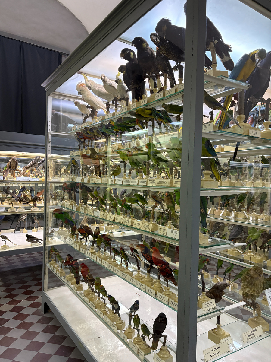 Если нет сил или желания вовлекать ребенка в экспозицию, то лучше его не брать с собой) До 6 лет ребенок выдержит в лучшем случае час. Либо приходите в Детские дни (ближайшие в весенние каникулы 2026 года). Чаду выдадут красочную карту с заданиями, которые он может выполнить самостоятельно и сподвигающими на осмотр экспонатов.