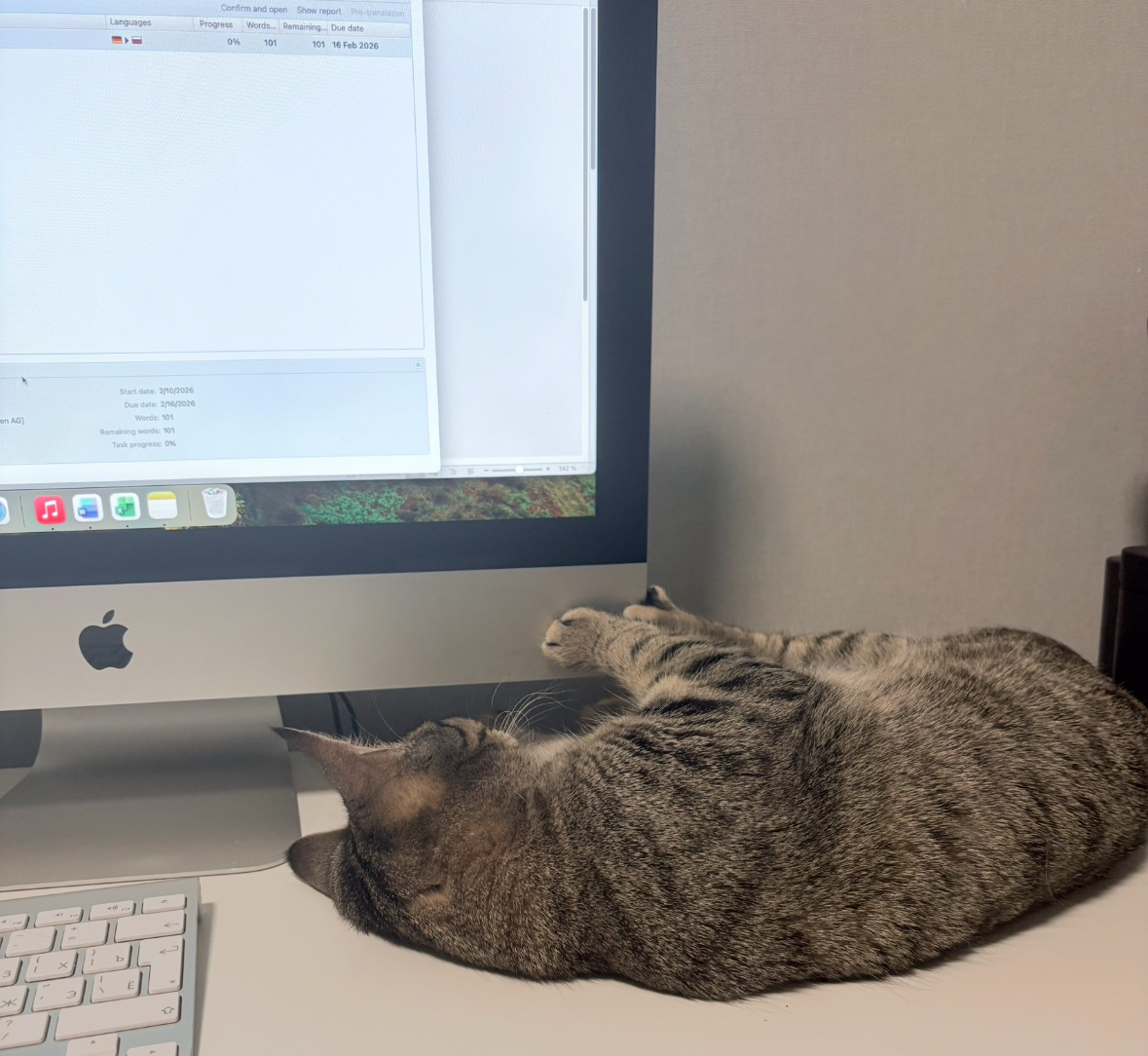 Кошенька: «Сеанс окончен, пойдемте поедим»