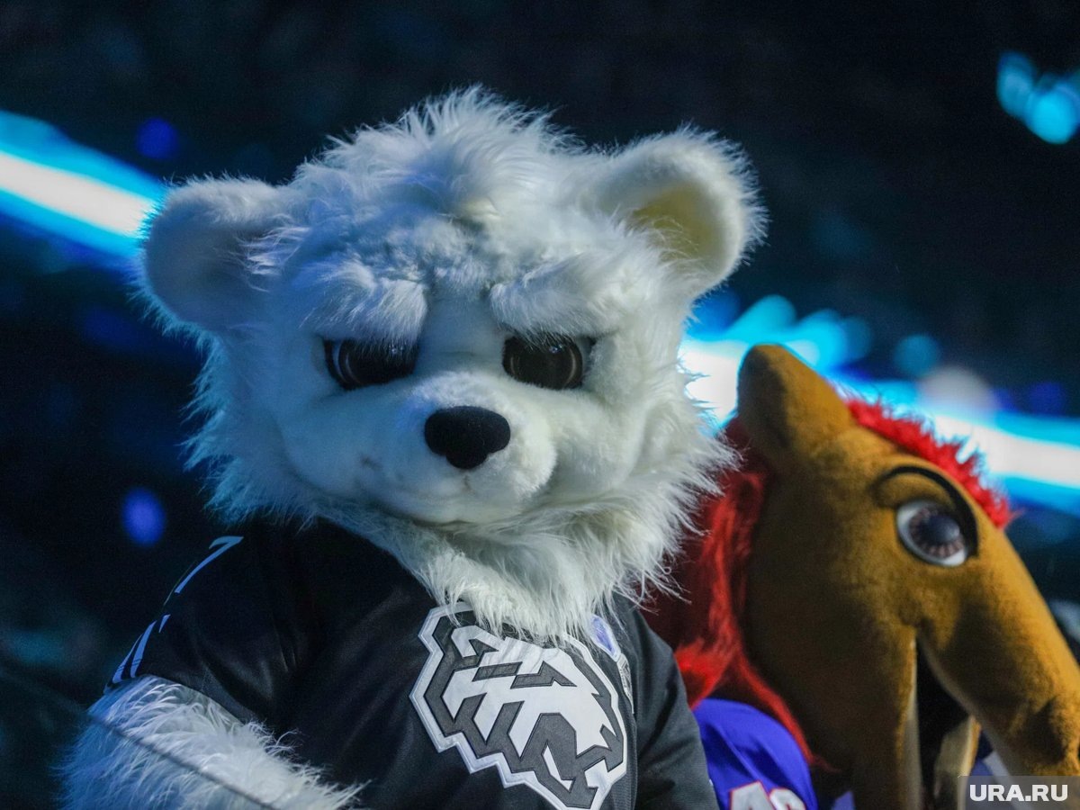    Лучшие хоккеисты страны выступают в Екатеринбурге в рамках «Матча звезд КХЛ»