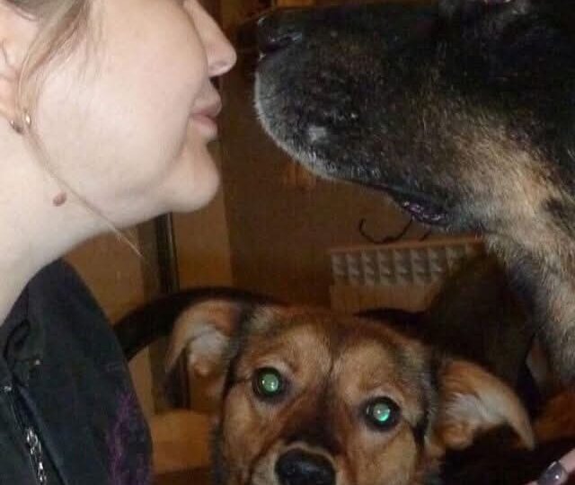 Должны всему миру