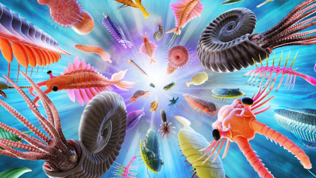 Часы эволюции могут тикать с разной скоростью