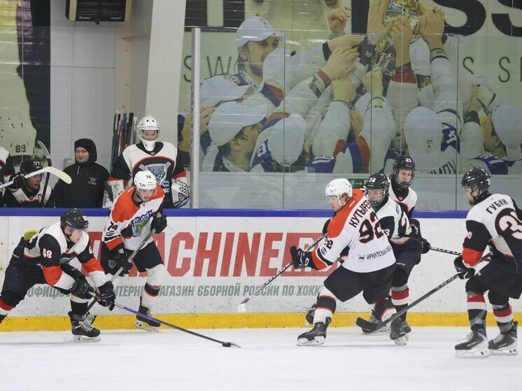     Источник: МХК "Тамбов"