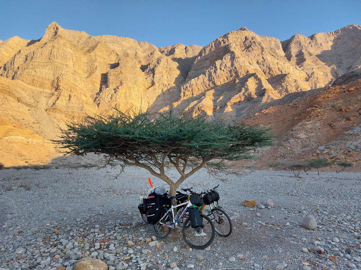 Галерея из 25 фотографий