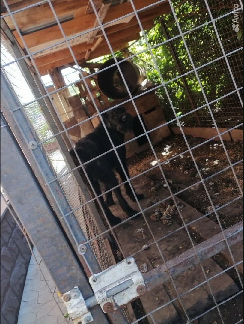 Условия жизни