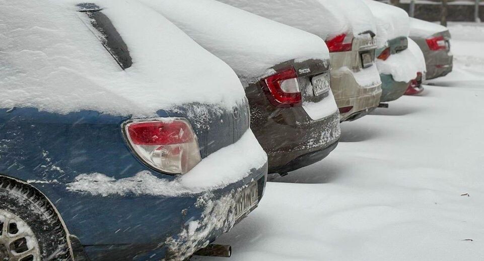    REGIONS/Полина Крачун