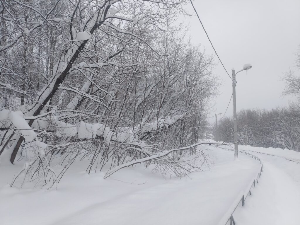    Фото: В курсе.ру Полина Анкушина