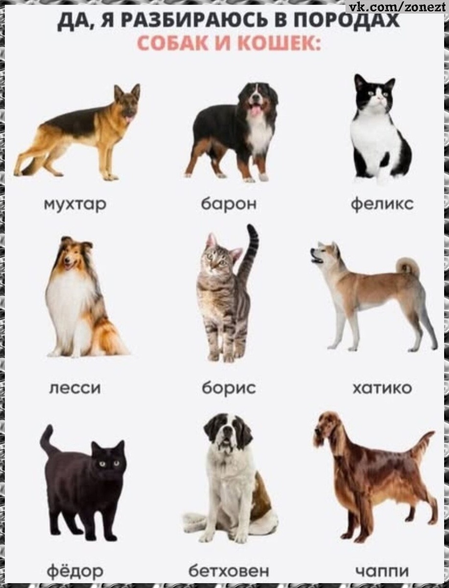 Смех из социальных сетей! Забавные шутки, забавные случаи и веселые рассказы. Фото взято из общедоступных ресурсов соцсетей