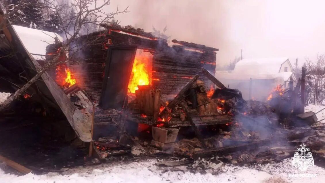    Фото: vm.ru Оливия Ильинская