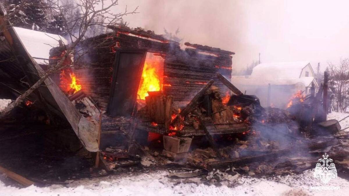    Фото: Telegram / МЧС Московской области