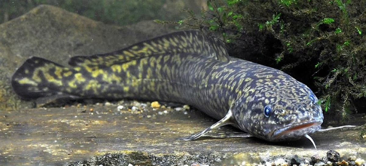 (фото из открытых источников)