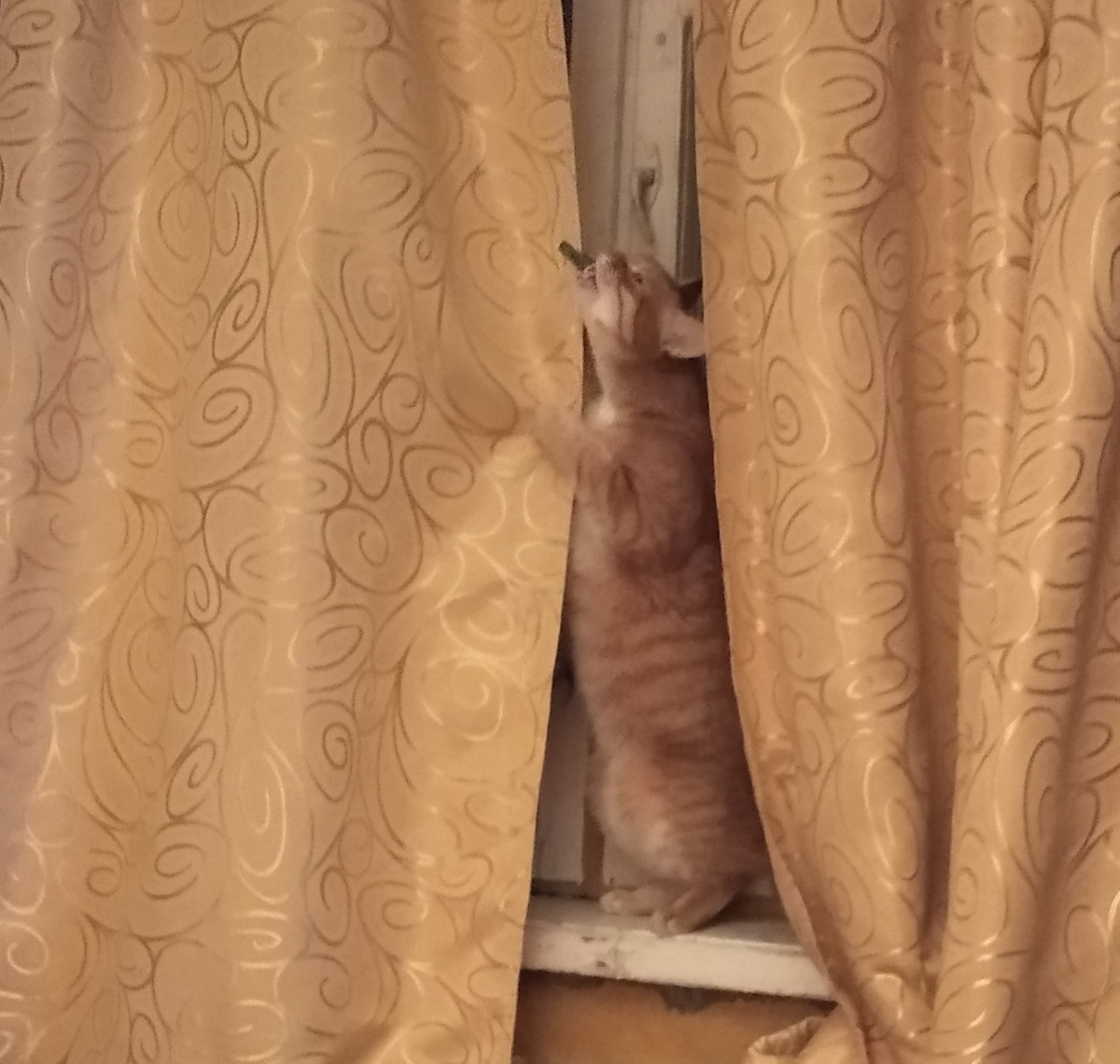 личное фото