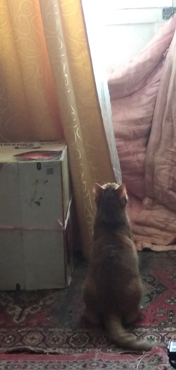 Личное фото