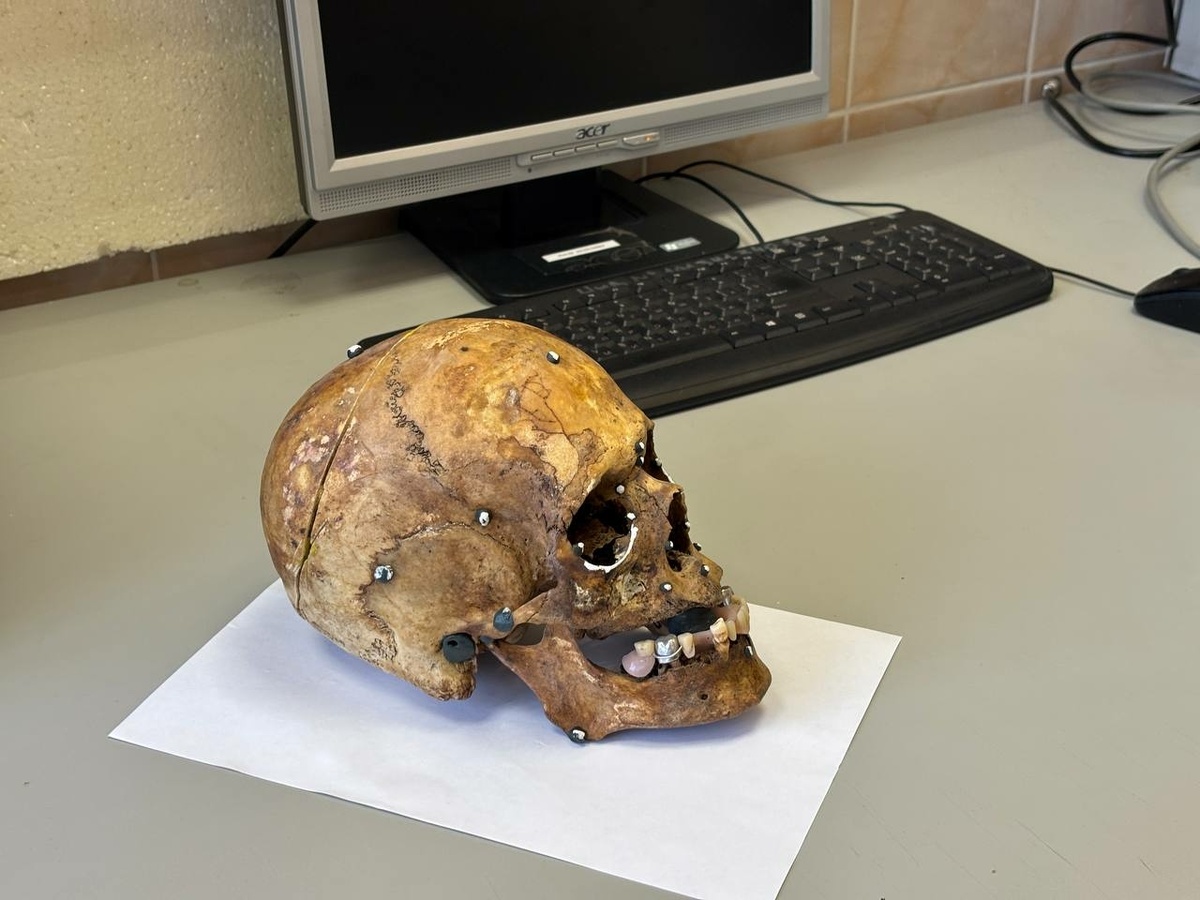 Фото: Neva.Today