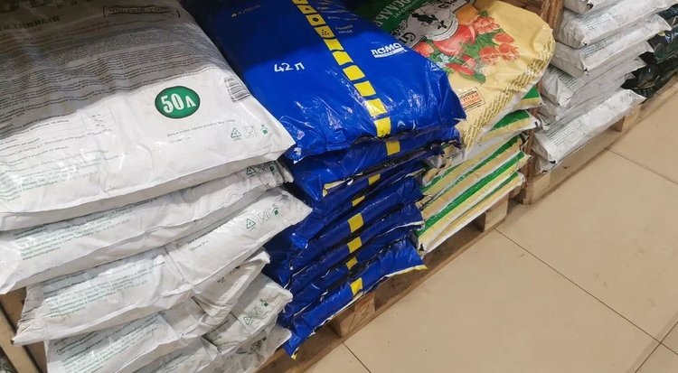    Фото: Лукьянов Дмитрий, AgroXXI.ru