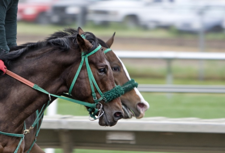 фото: pxhere.com