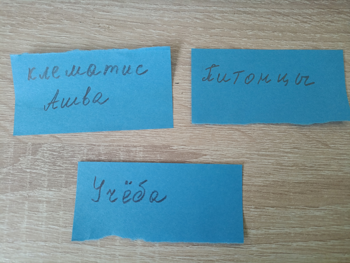 Мой сложный выбор для статьи