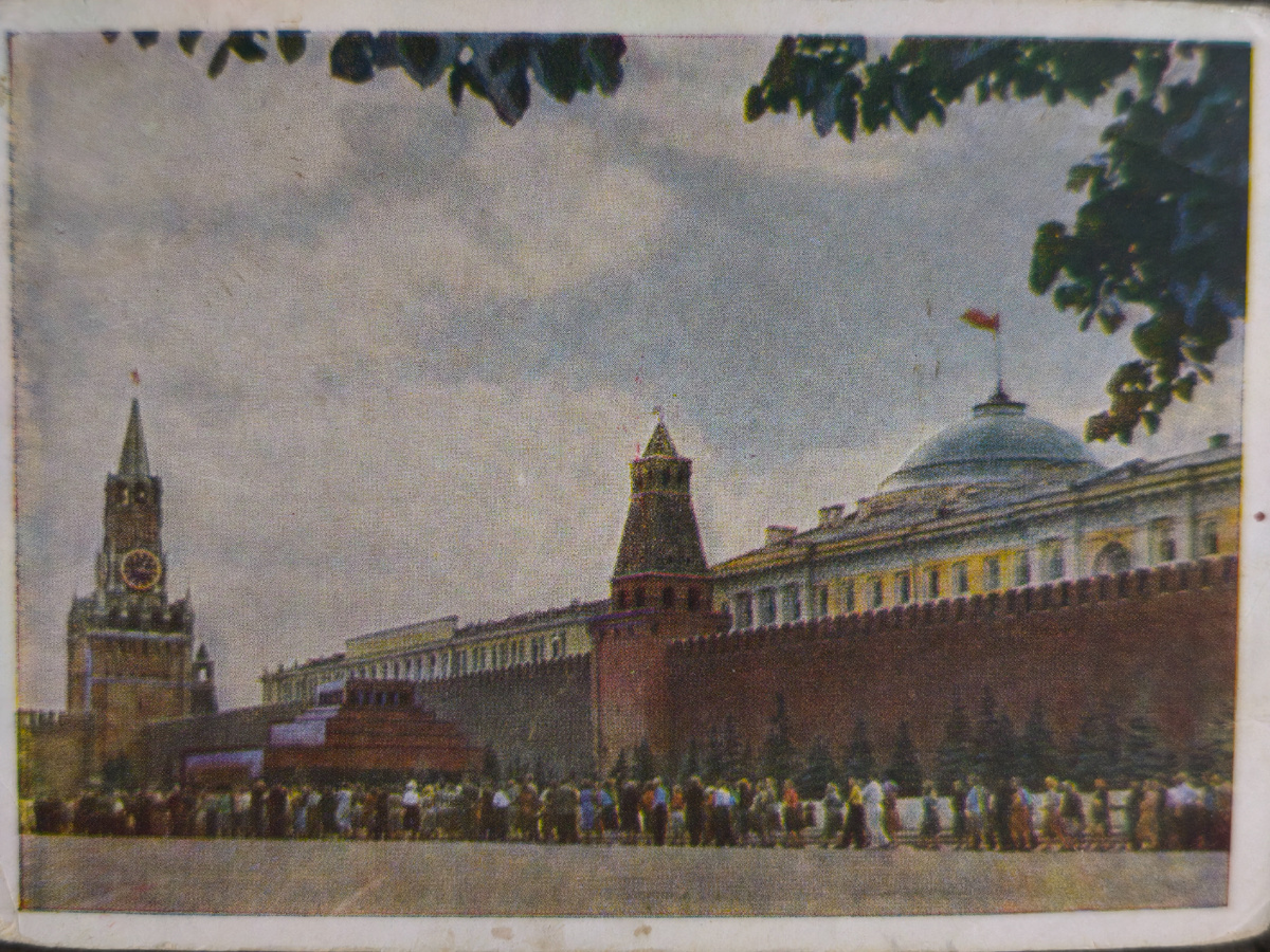 Фото 📷 автора