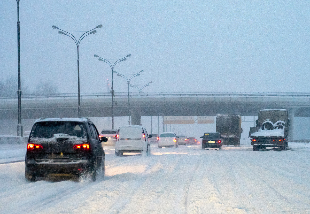 Фото: Shutterstock
