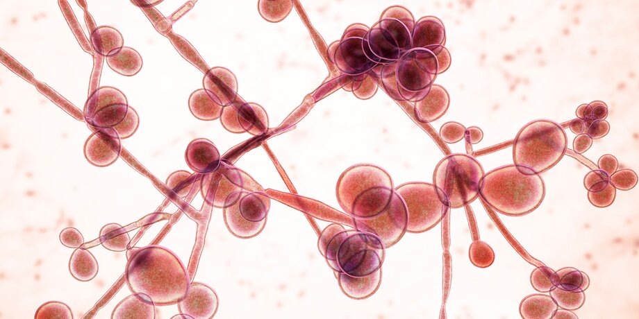    Фото: ТАСС/Zuma