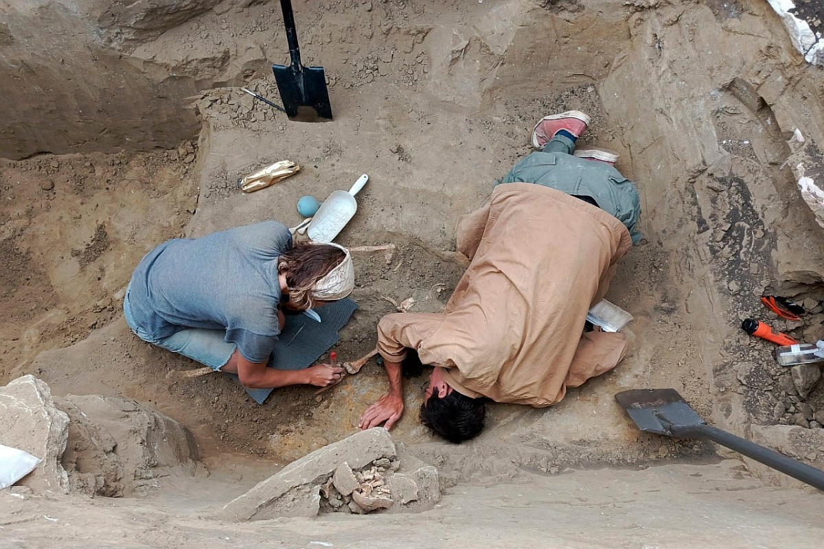    Археологи работают с захоронением на Заюково-3. / t.me/state_historical_museum