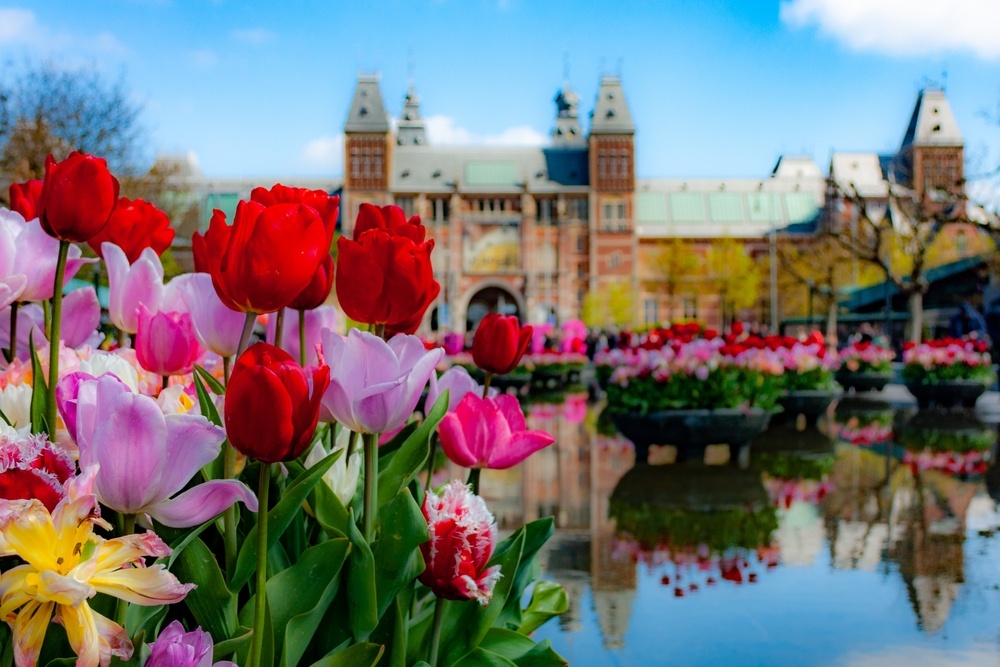 @Amit Goel/Shutterstock