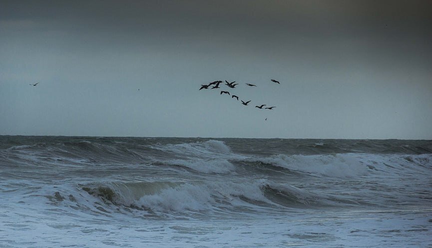 Внимание! Ожидается ухудшение погодных условий: сильный дождь, гроза, ветер с порывами до 20 м/с