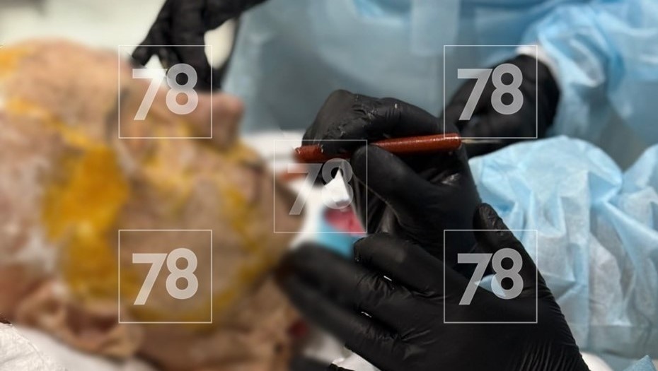 Автор фото: 78.ru. Обучение на частях тел