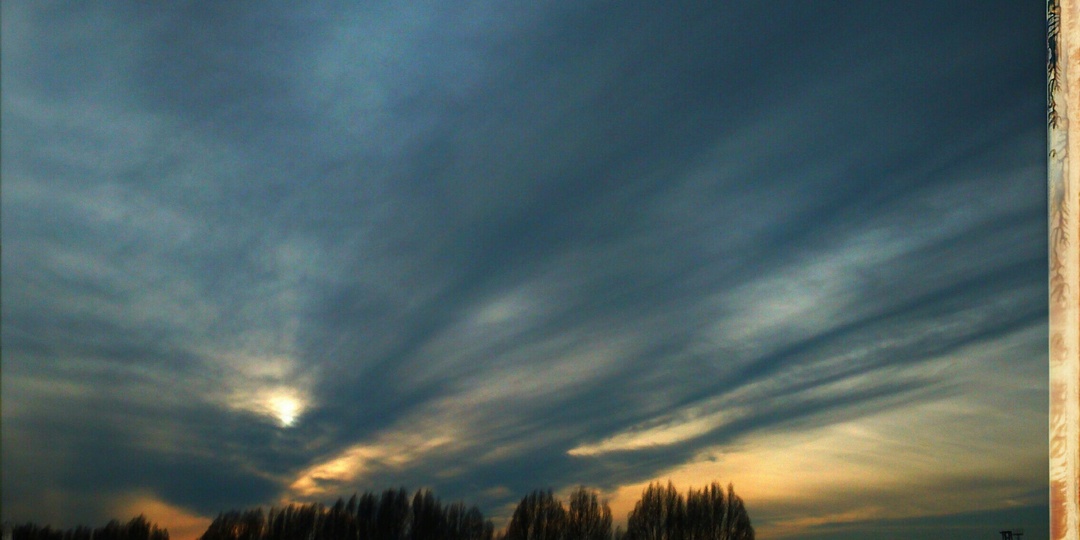 Опасная Африка, про отзывчивость, про хулигана. Истории, которые меня зацепили.