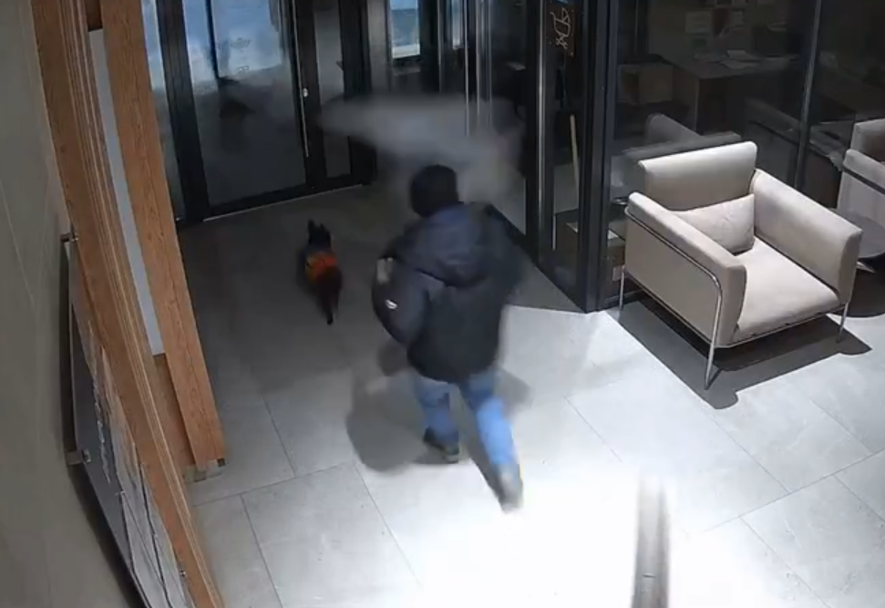     / Источник: Кадр из видео