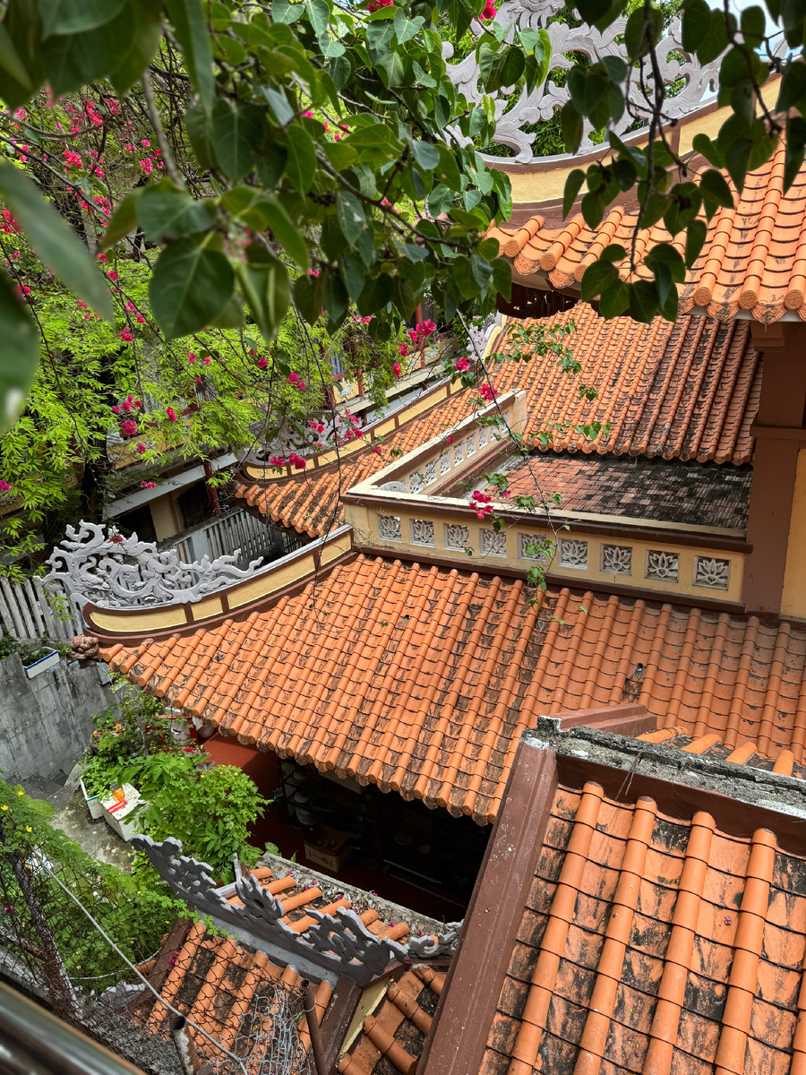 Вьетнам. Фото автора статьи. 