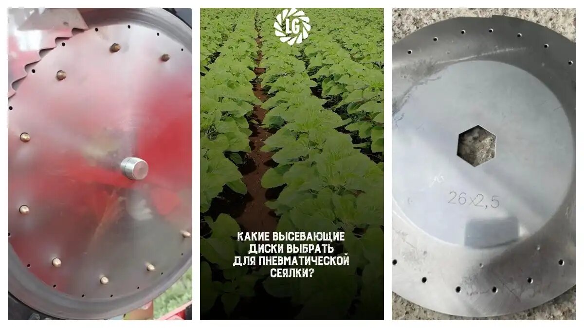 Фото: LG Seeds Russia
Эксперт Лимагрен дал рекомендации по подбору высевающих дисков для пневмосеялки