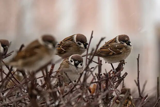    Фото: lenta.ru Федор Никулина