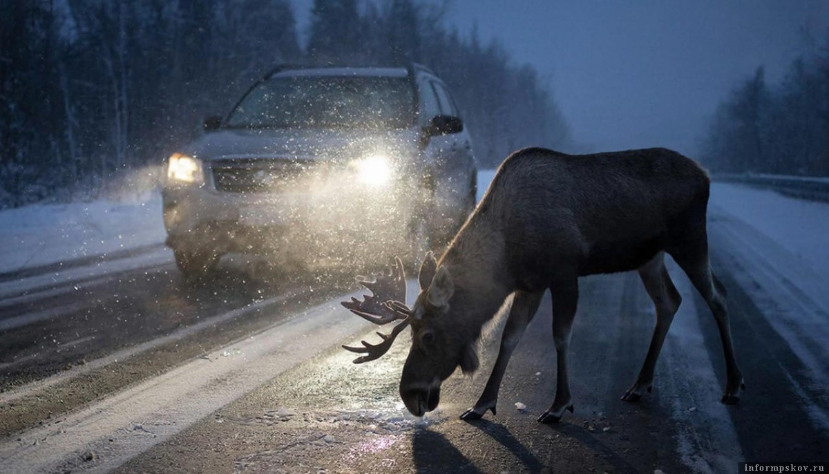 Изображение сгенерировано ИИ и носит иллюстративный характер