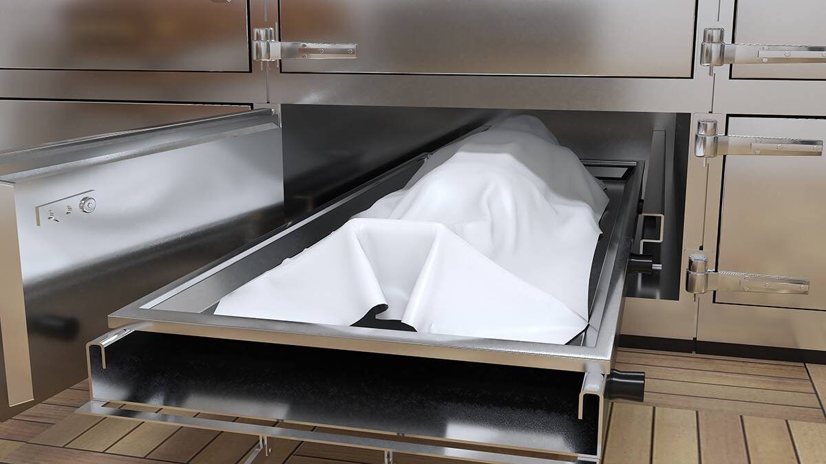    Фото: Shutterstock