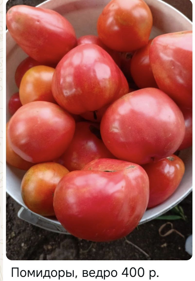 ЛИСТАЕМ ГАЛЕРЕЮ