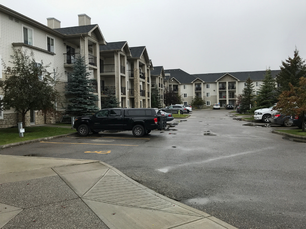 дом из книги Виртуальное убийство