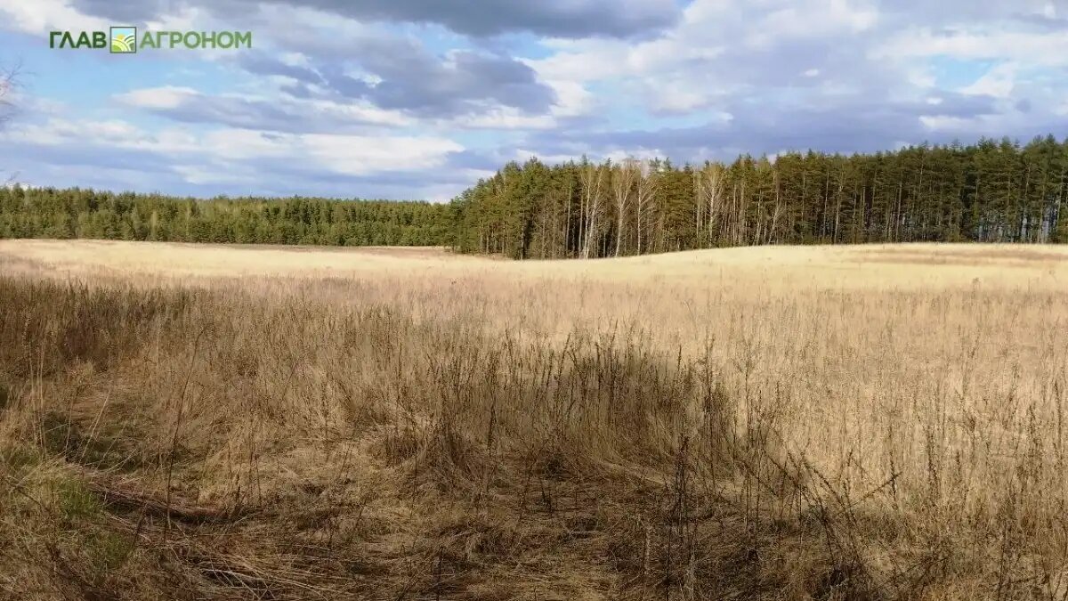 Фото:© Ольга Можейко / Glavagronom.ru
Итоги работы Россельхознадзора 2025: Земельный надзор, ликвидация свалок, вовлечение неиспользуемых участков в оборот