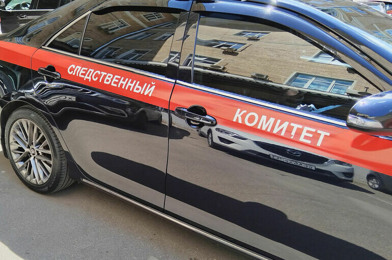   Алина Цыганова/«Парламентская газета»