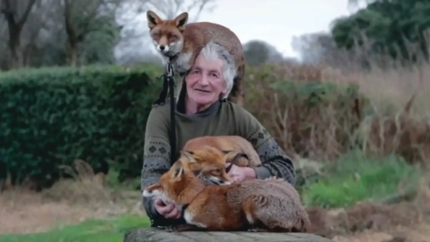 Дед Анатолий спас трёх лисят. А они спасли его, когда это было необходимо больше всего