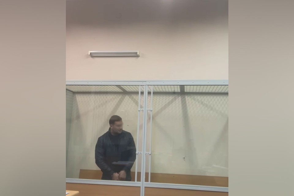    Мужчину отправили в СИЗО до апреля. Фото: t.me/SPbGS