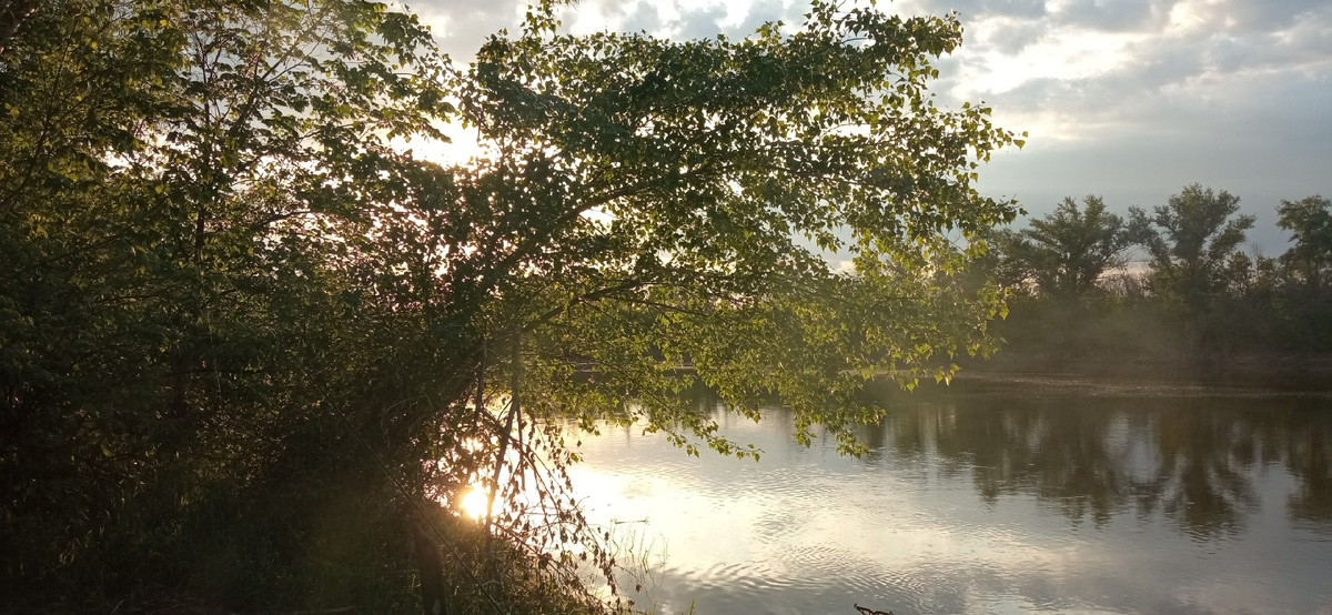 Донской рассвет