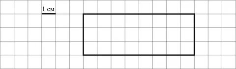 Ответ:______________________________________________