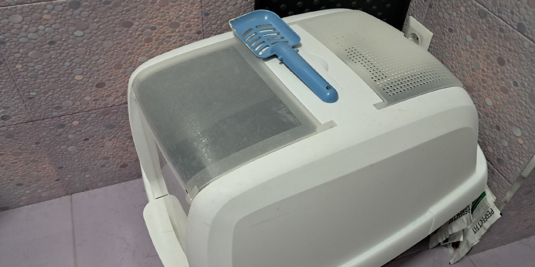 Три кота, два мнения, один лоток: как угодить всем