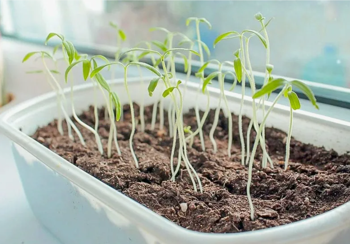 Источник фото: abekker.ru