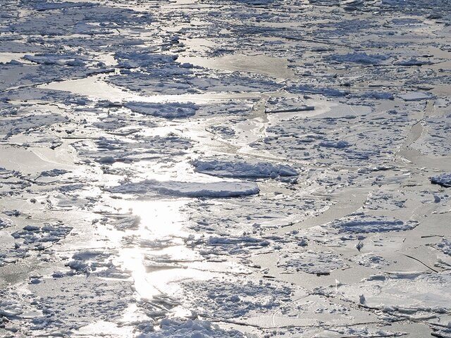    Фото: портал мэра и правительства Москвы/Олег Сосницкий